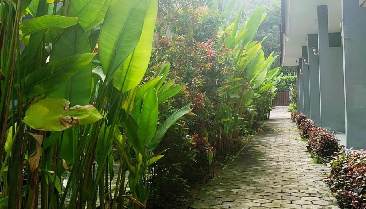 Oyo 2864 Mangsit Garden Homestay المظهر الخارجي الصورة
